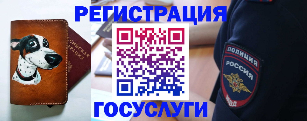 временная регистрация в квартире в Амурске
